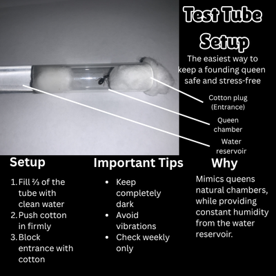 Test tube setup guide